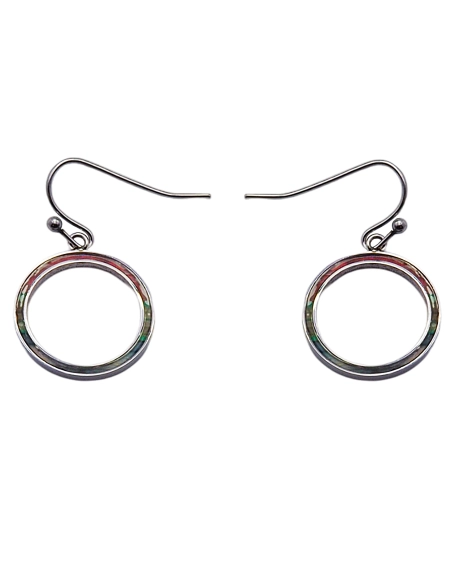 Boucles d'oreille acier - bois teinté multicolore clair - diamètre ...
