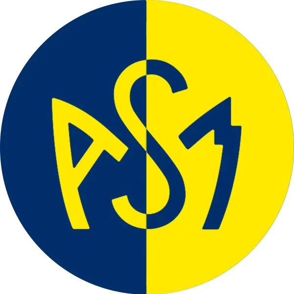 Pastille acier magnétique logo croisé jaune et bleu (sachet x2 pastilles)
