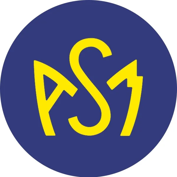Pastille acier magnétique logo jaune fond bleu (sachet x2 pastilles)