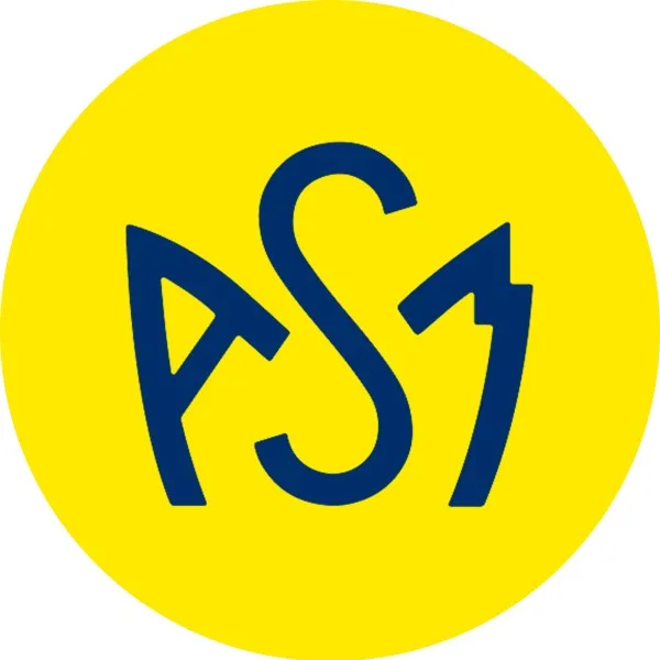 Pastille acier magnétique logo bleu fond jaune (sachet x2 pastilles)