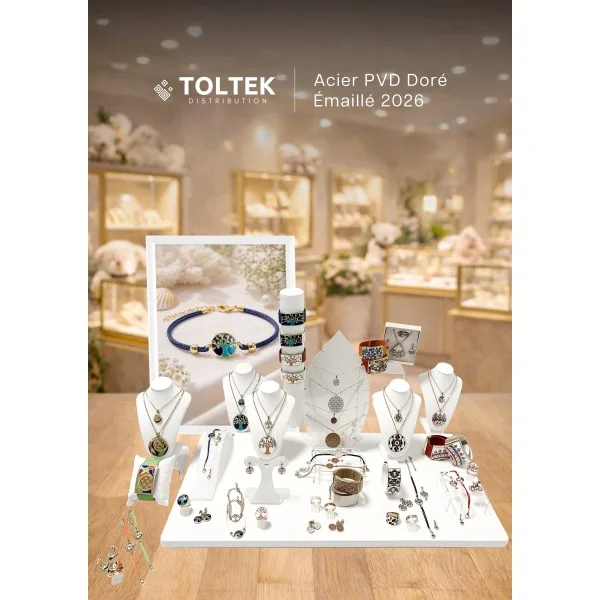 KIT TOLTEK - Collection PVD Doré, Acier Email - Janvier 2026