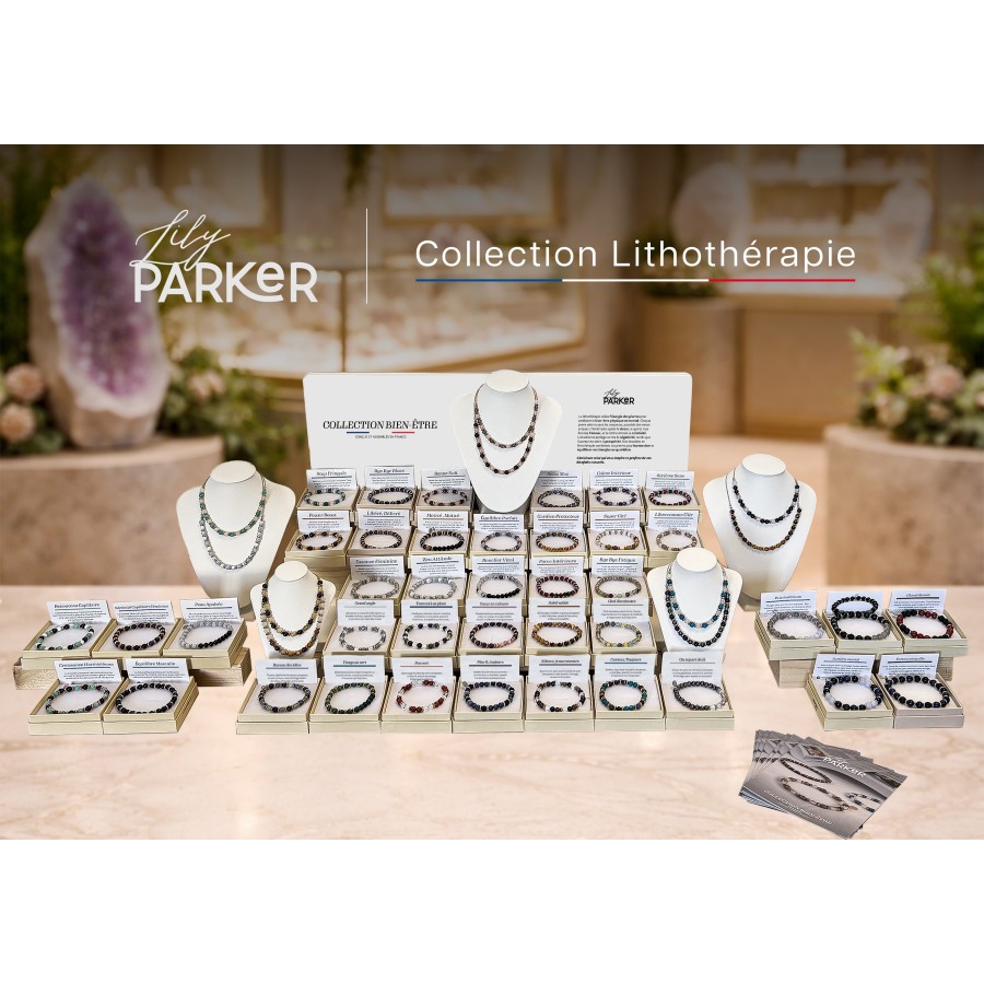Kit 24 bracelets nouveautés Lily Parker | Toltek Distribution